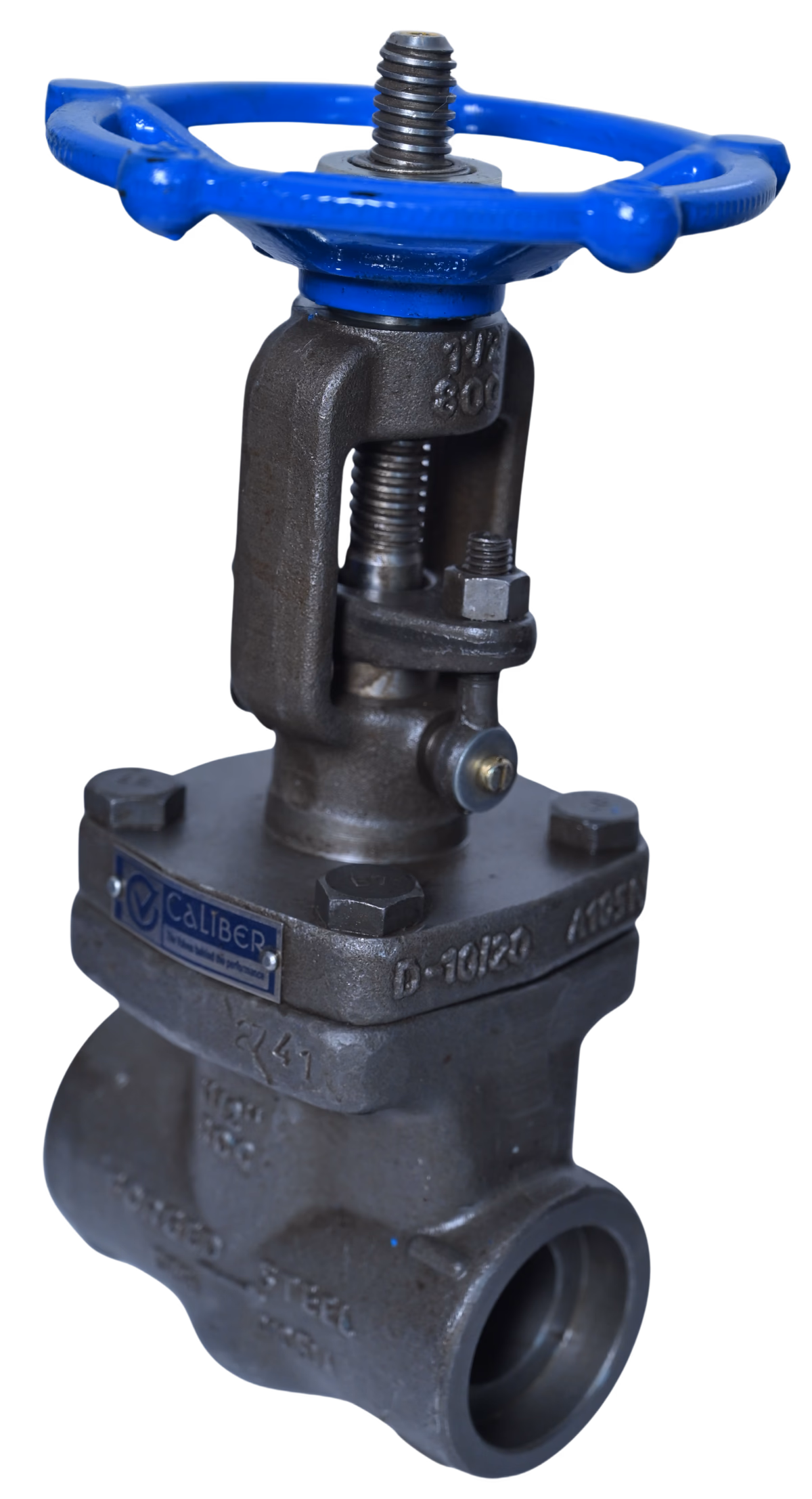 FS GATE VALVE - SE / SW / BW / FL - Gate Valves by Caliber Valves | A105 / F304 / F316 / Duplex / Super Duplex / Alloy Steel, Size: 15 to 50 DN