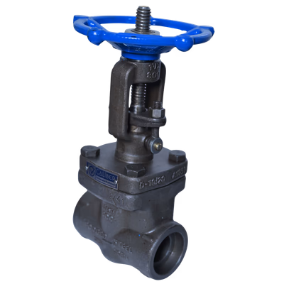 FS GATE VALVE - SE / SW / BW / FL