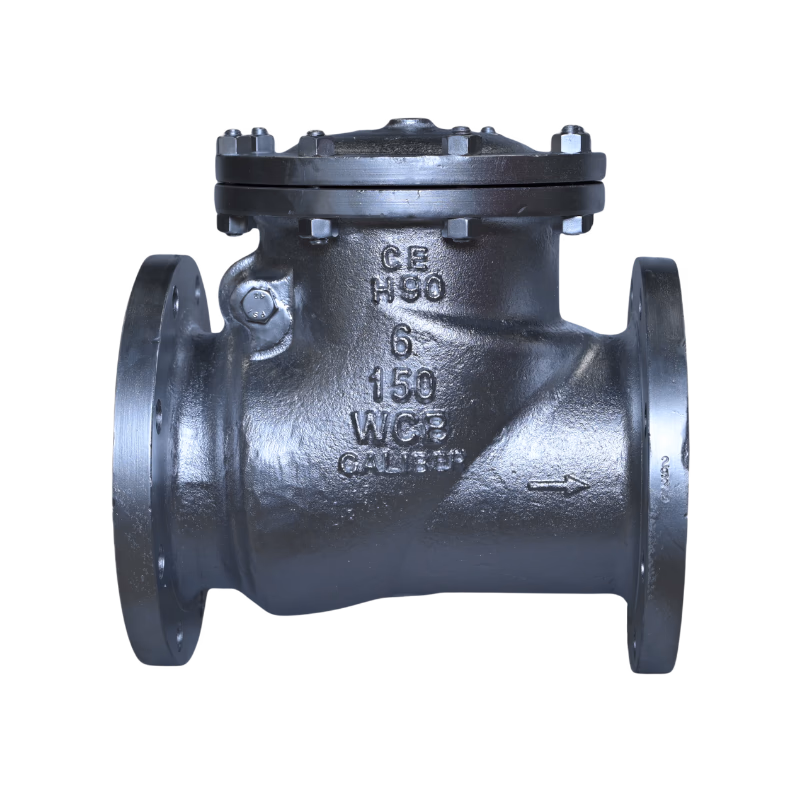 CS / SS SWING CHECK VALVE - SE / SW / BW / FL - Variant 1 - Swing Check Valves by Caliber Valves | WCB / CF8 / CF8M / Spl. Alloys, Size: 25 to 600 DN