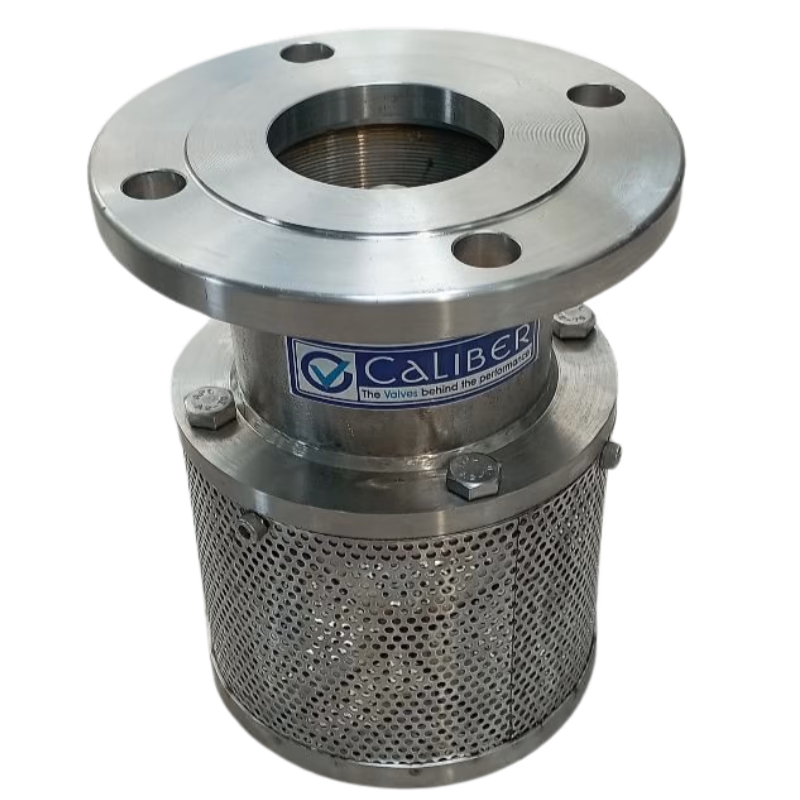 CS / SS FOOT VALVE - SE / FL - Foot Valves by Caliber Valves | WCB / CF8 / CF8M, Size: 25 to 200 DN