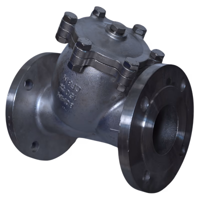 CI / CS / SS STRAINER Y / T Type - SE / SW / BW / FL - Variant 2 - Strainers by Caliber Valves | CI / WCB / CF8 / CF8M, Size: 15 to 50 DN - SE / SW, 25 to 300 DN - Flanged / BW